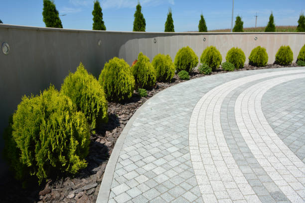Best Residential Driveway Paver Services  in Ben Lomond, CA
